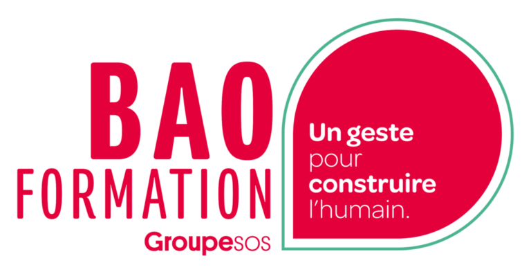 l1779 2701 BAOFORMATION logo coul 1 1024x524 1 1 768x393